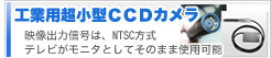 �H�Ɨp�����^CCD�J����